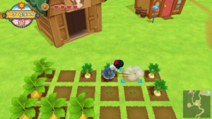 Harvest Moon: Eine Welt