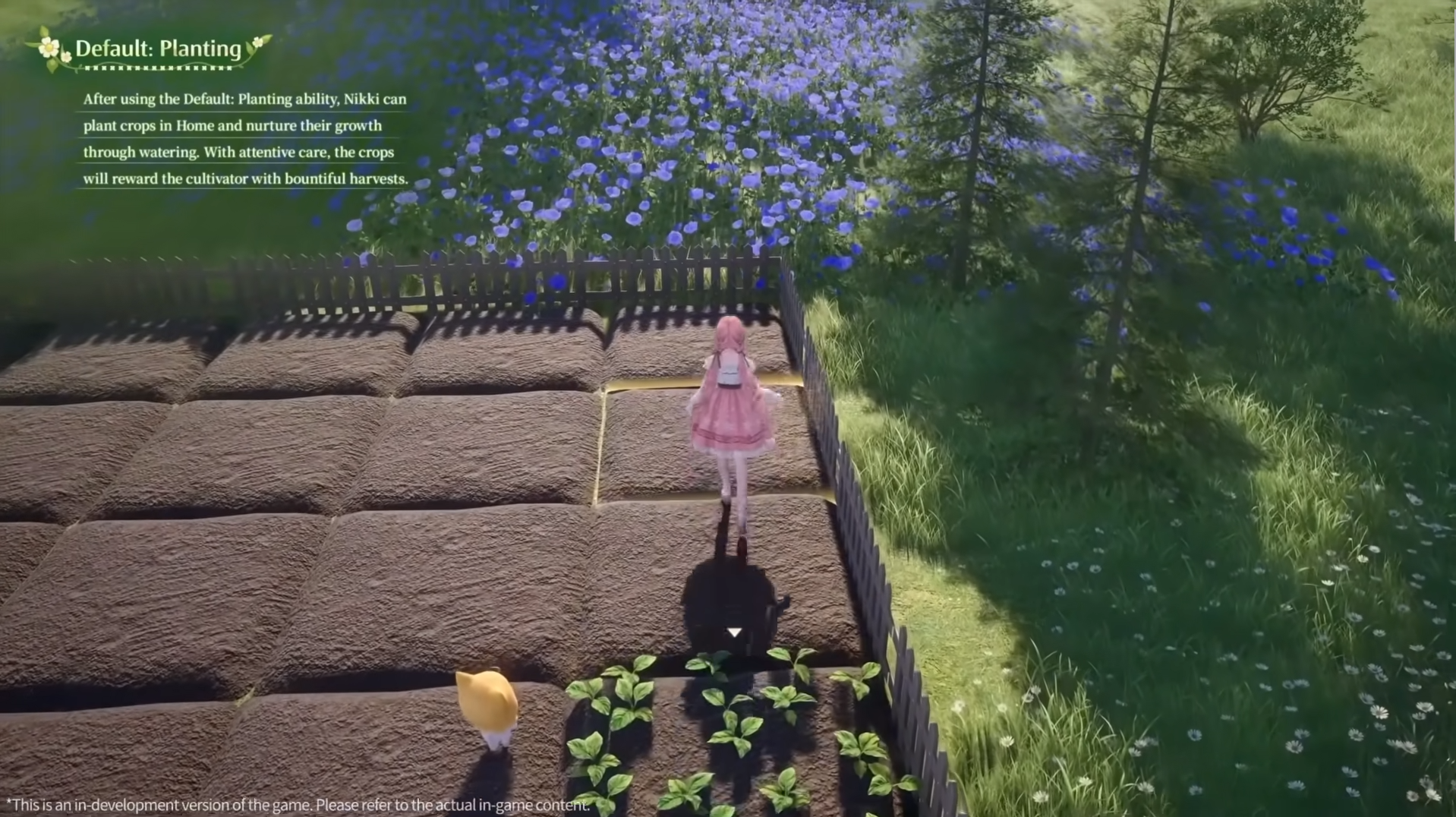 Nikki Home
